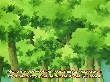 CNNaruto 035CN(23)Naruto 033 AnimeZz.info(1).jpg